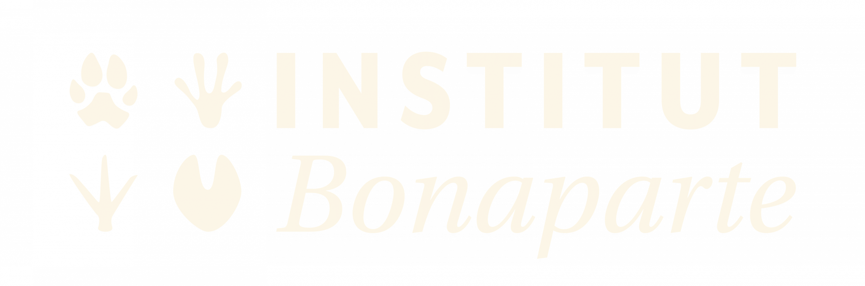 Logo Institut Bonaparte
